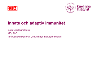 Innate and adaptive immunity Sara gredmark Russ 28