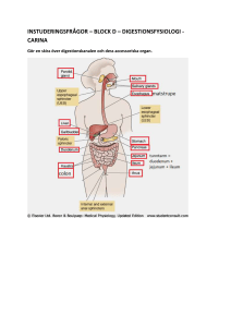1. Digestionsfysiologi - Odontologi-wiki