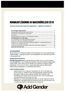 Normkartläggning Makertjej Vinnova Add Gender 20170228