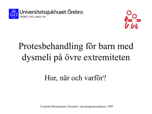 Armprotesteam Stockholm/Örebro: