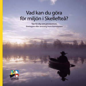 Vad kan du göra för miljön i Skellefteå?
