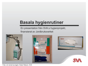 Presentation – Basala hygienrutiner