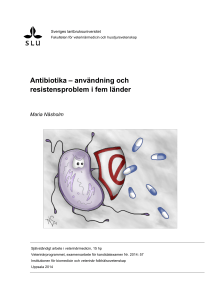 Antibiotika – användning och resistensproblem i fem länder