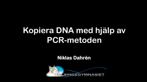 Kopiera DNA med hjälp av PCR-metoden