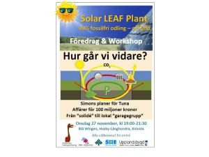 The Solar LEAF Plant