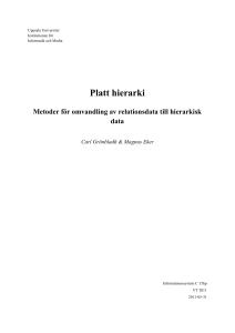 Platt hierarki