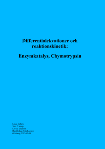 Enzymkatalys, Chymotrypsin
