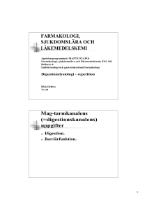 Mag-tarmkanalens sjukdomar (pdf-handouts)
