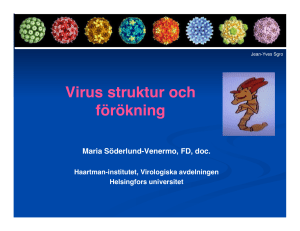 Virus struktur och förökning