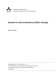 Kontroll av ekvint arteritvirus (EAV) i Sverige