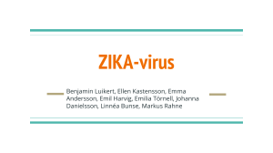 ZIKA-virus