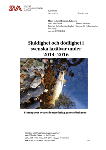 Sjuklighet och dödlighet i svenska laxälvar under 2014-2016