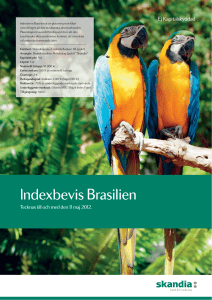 Indexbevis Brasilien