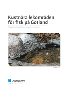 Kustnära lekområden för fisk på Gotland