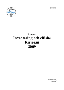 Inventering och elfiske Kirjesån 2009