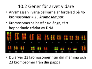 10.2 Gener för arvet vidare