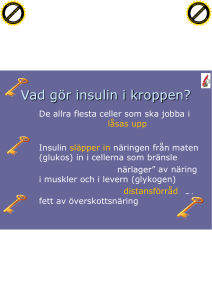 Vad gör insulin i kroppen?