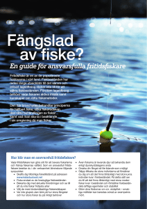 Fängslad av fiske? - SEY Suomen Eläinsuojeluyhdistysten liitto ry