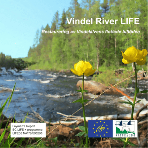 Layman report - Vindel River LIFE