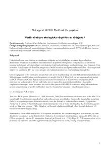Slutrapport till SLU EkoForsk för projektet Varför drabbas ekologiska