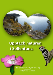 Upptäck naturen i Sollentuna