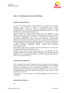 ehec - screening och verifiering
