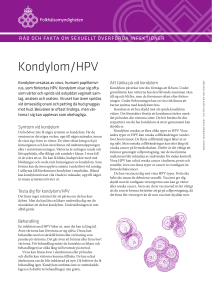 kondylom/HPV
