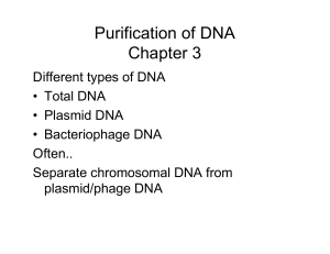 Purification of DNA Chapter 3