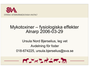 Mykotoxiner – fysiologiska effekter Alnarp 2006-03-29