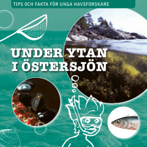 Elevboken Under ytan i Östersjön
