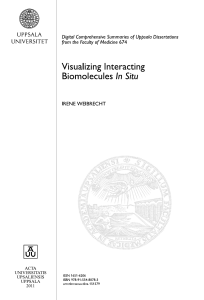 Visualizing Interacting Biomolecules In Situ
