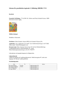 Schema för genetikdelen ingående i Cellbiologi, BIR200, VT11