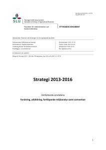 Strategi 2013-2016