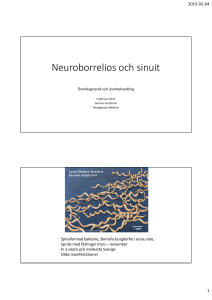 Neuroborrelios och sinuit