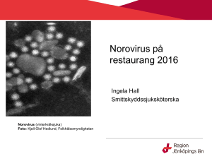 Norovirus på restaurang 2016