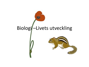 Biologi –Livets utveckling
