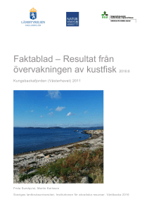 Faktablad – Resultat från övervakningen av kustfisk 2016:6