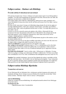 Fallprevention – Rutiner och Riktlinje Fallprevention Riktlinje Bjurholm