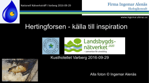 Hertingforsen - källa till inspiration