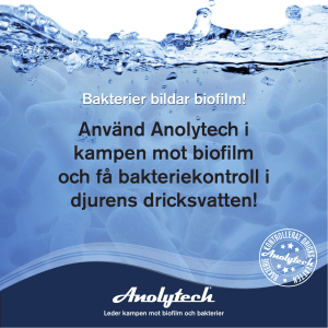 Använd Anolytech i kampen mot biofilm och få bakteriekontroll i