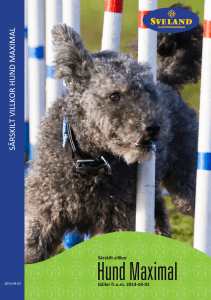 Sveland Hundförsäkring - Sveland Djurförsäkringar