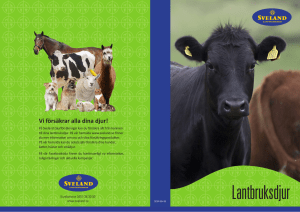 Lantbruksdjur - Sveland Djurförsäkringar