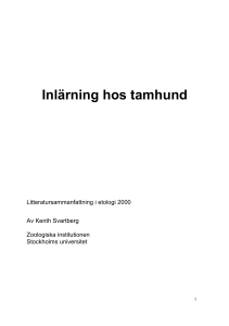 Inlärning hos tamhund - Stockholms universitet