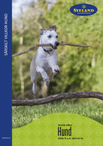Sveland Hundförsäkring - Sveland Djurförsäkringar