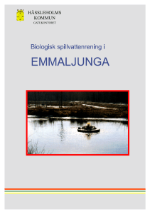 Emmaljunga reningsverk - Hässleholms Vatten AB