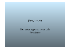 Evolution - anderhag.net