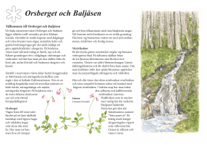 Ors-Balj utskrift 2015.indd