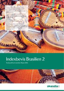Indexbevis Brasilien 2