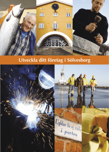 Utveckla ditt företag i Sölvesborg