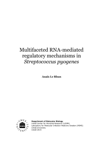 Multifaceted RNA-mediated regulatory